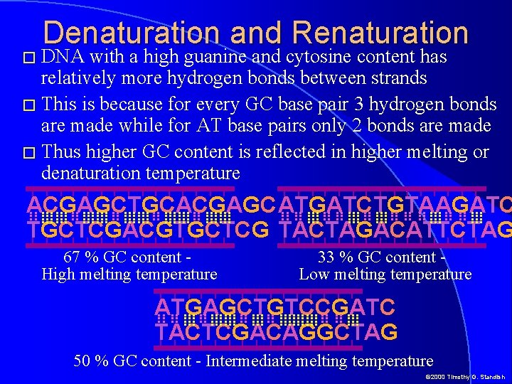 Denaturation and Renaturation � DNA with a high guanine and cytosine content has relatively