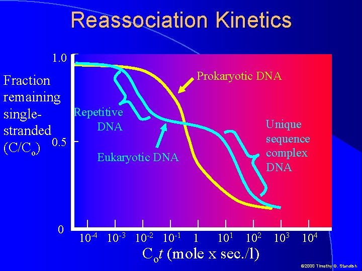 Reassociation Kinetics 1. 0 Prokaryotic DNA Fraction remaining Repetitive single. DNA stranded (C/Co) 0.