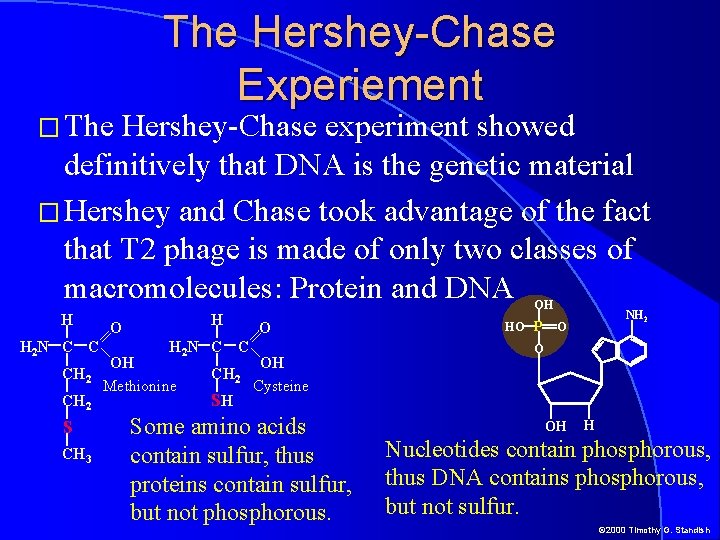 � The Hershey-Chase Experiement Hershey-Chase experiment showed definitively that DNA is the genetic material