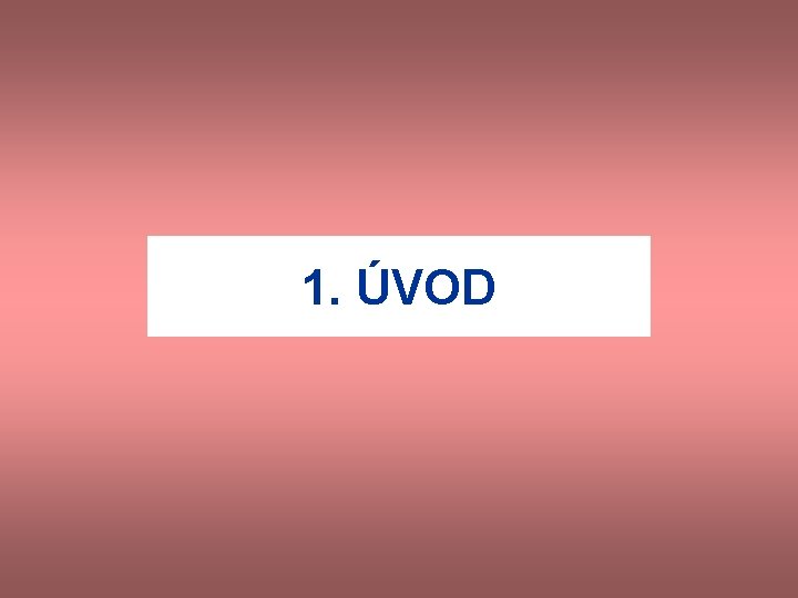 1. ÚVOD 