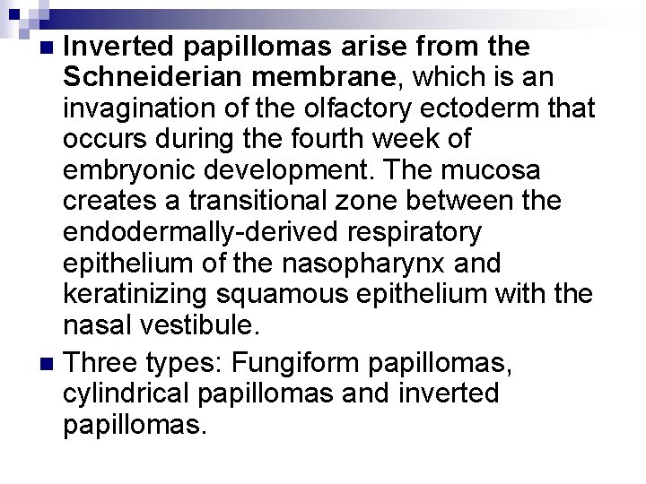 Inverted papillomas arise from the Schneiderian membrane, which is an invagination of the olfactory