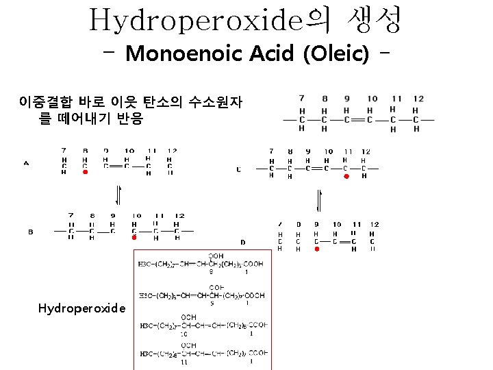 Hydroperoxide의 생성 - Monoenoic Acid (Oleic) 이중결합 바로 이웃 탄소의 수소원자 를 떼어내기 반응