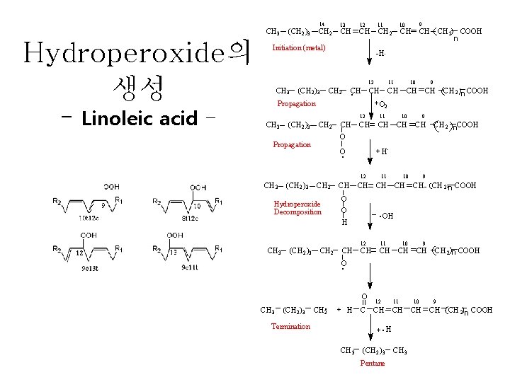 CH 3 Hydroperoxide의 생성 - Linoleic acid - 14 (CH 2 )3 CH 2