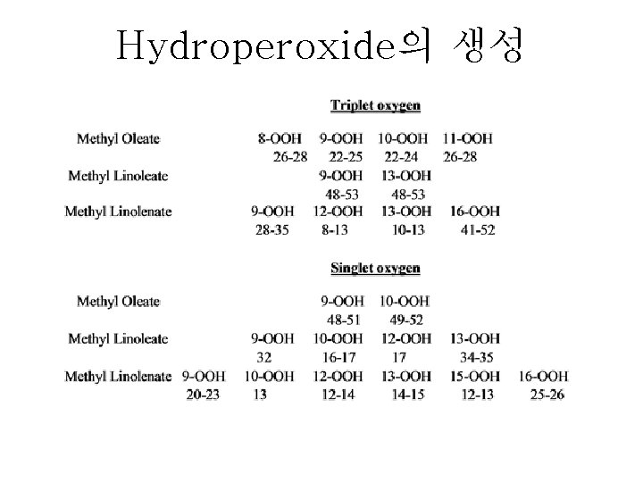 Hydroperoxide의 생성 