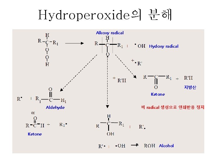 Hydroperoxide의 분해 Alkoxy radical Hydoxy radical 지방산 Ketone Aldehyde 비 radical 생성으로 연쇄반응 정지