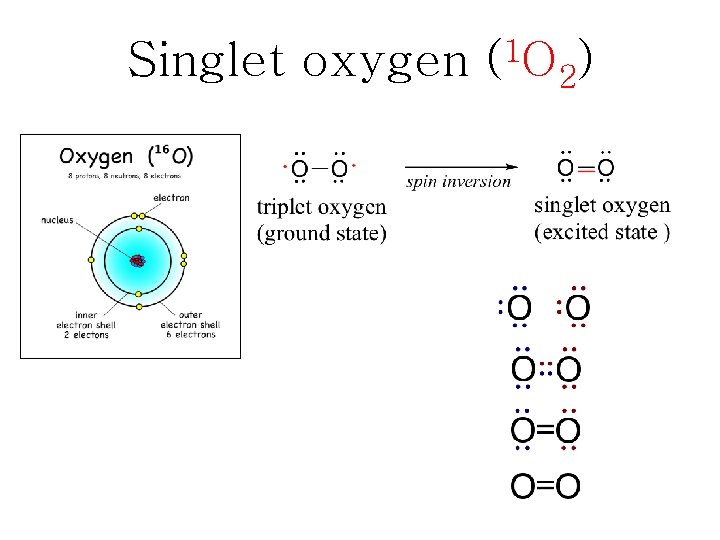 Singlet oxygen (1 O 2) 