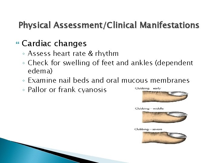 Physical Assessment/Clinical Manifestations Cardiac changes ◦ Assess heart rate & rhythm ◦ Check for