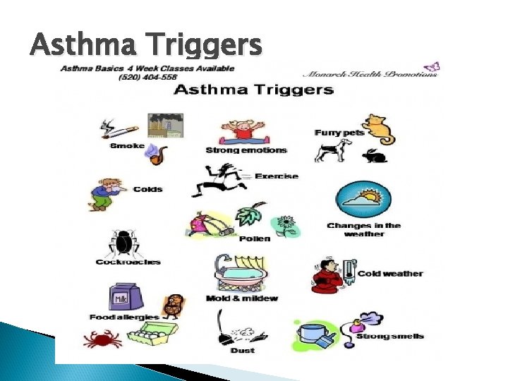 Asthma Triggers 