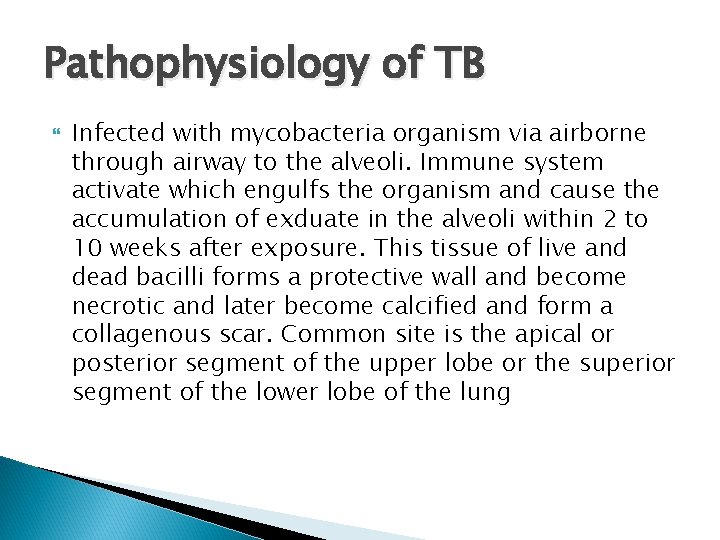 Pathophysiology of TB Infected with mycobacteria organism via airborne through airway to the alveoli.