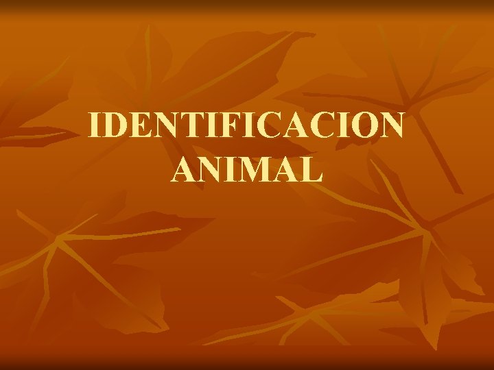 IDENTIFICACION ANIMAL 