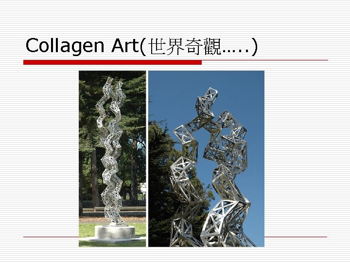 Collagen Art(世界奇觀…. . ) 
