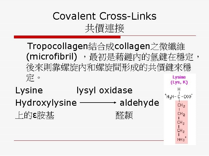 Covalent Cross-Links 共價連接 Tropocollagen結合成collagen之微纖維 (microfibril) ，最初是藉鏈內的氫鍵在穩定， 後來則靠螺旋內和螺旋間形成的共價鍵來穩 定。 Lysine lysyl oxidase Hydroxylysine aldehyde 上的ε胺基