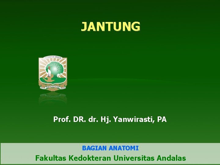 JANTUNG Prof. DR. dr. Hj. Yanwirasti, PA BAGIAN ANATOMI Fakultas Kedokteran Universitas Andalas 