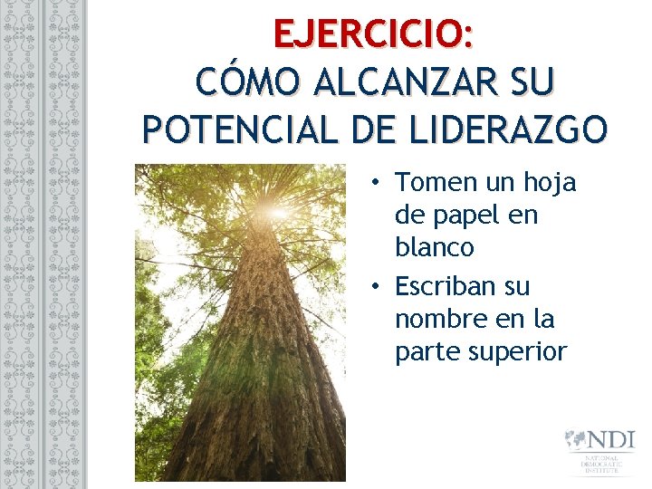 EJERCICIO: CÓMO ALCANZAR SU POTENCIAL DE LIDERAZGO • Tomen un hoja de papel en