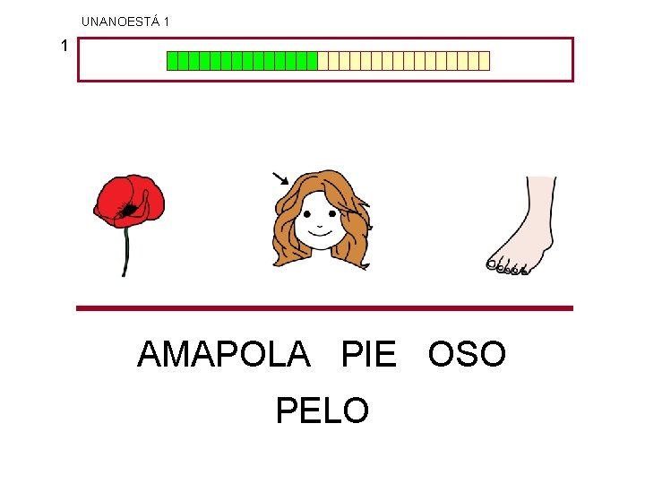 UNANOESTÁ 1 1 AMAPOLA PIE OSO PELO 