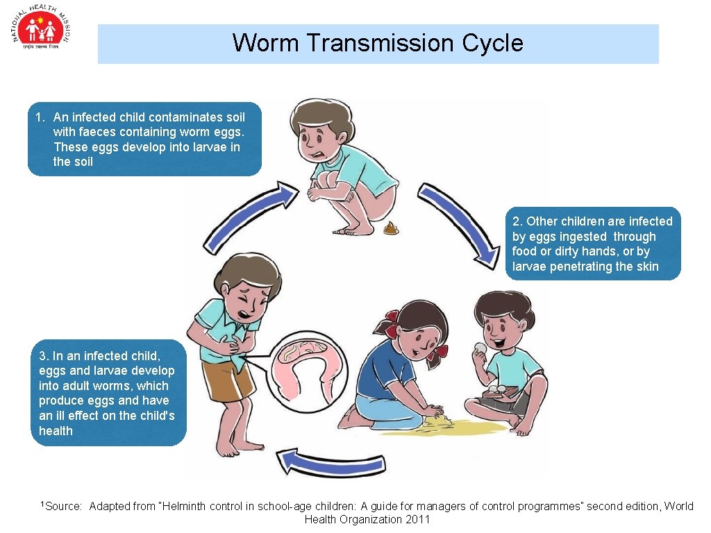 Worm Transmission Cycle 1. An infected child contaminates soil with faeces containing worm eggs.