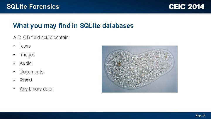 SQLite Forensics What you may find in SQLite databases A BLOB field could contain