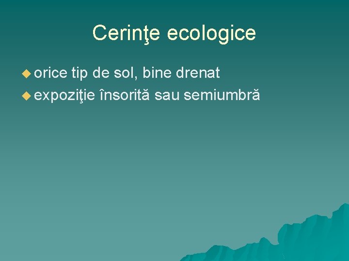 Cerinţe ecologice u orice tip de sol, bine drenat u expoziţie însorită sau semiumbră