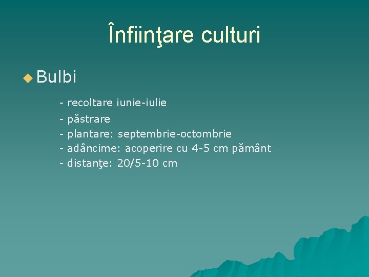 Înfiinţare culturi u Bulbi - recoltare iunie-iulie - păstrare - plantare: septembrie-octombrie - adâncime: