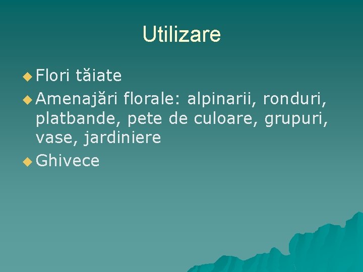 Utilizare u Flori tăiate u Amenajări florale: alpinarii, ronduri, platbande, pete de culoare, grupuri,