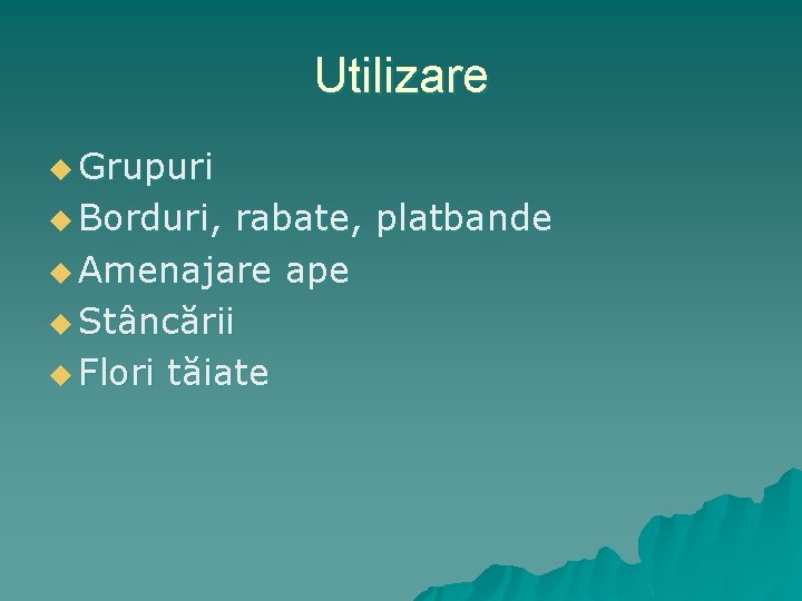 Utilizare u Grupuri u Borduri, rabate, platbande u Amenajare ape u Stâncării u Flori