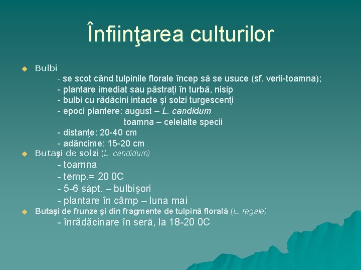 Înfiinţarea culturilor u Bulbi - se scot când tulpinile florale încep să se usuce