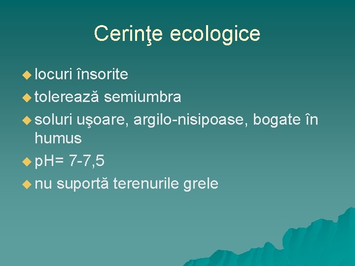 Cerinţe ecologice u locuri însorite u tolerează semiumbra u soluri uşoare, argilo-nisipoase, bogate în