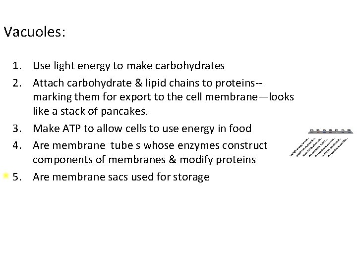 Vacuoles: 1. Use light energy to make carbohydrates 2. Attach carbohydrate & lipid chains