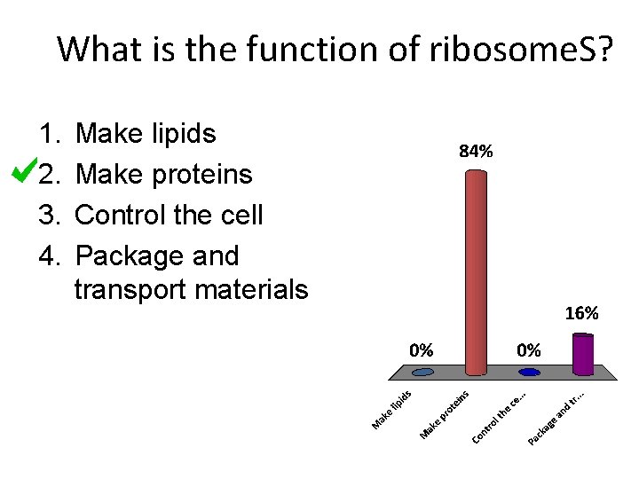 What is the function of ribosome. S? 1. 2. 3. 4. Make lipids Make