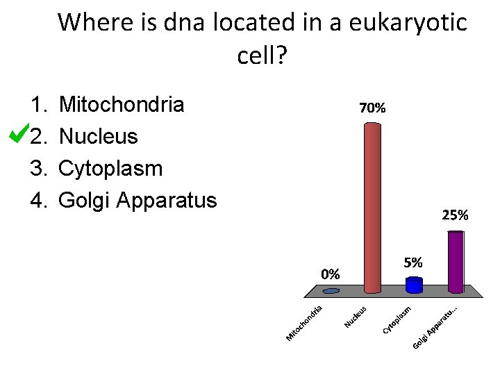 Where is dna located in a eukaryotic cell? 1. 2. 3. 4. Mitochondria Nucleus