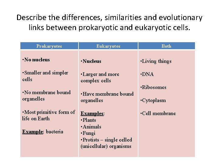 Describe the differences, similarities and evolutionary links between prokaryotic and eukaryotic cells. Prokaryotes Eukaryotes