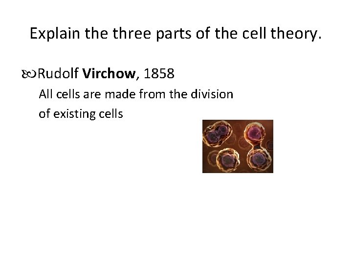 Explain the three parts of the cell theory. Rudolf Virchow, 1858 All cells are