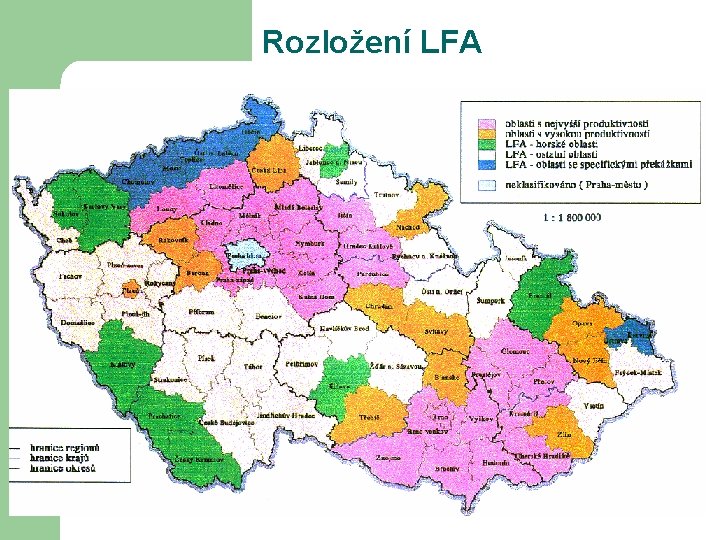 Rozložení LFA 