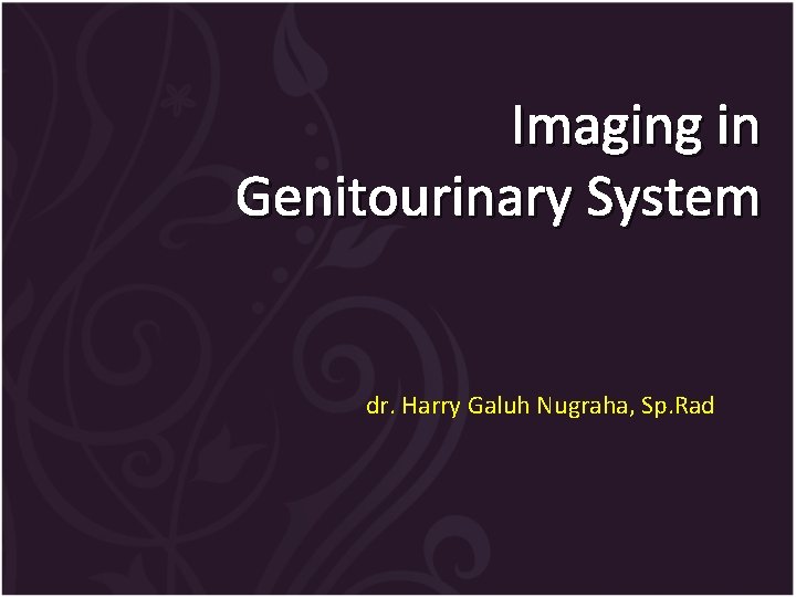 Imaging in Genitourinary System dr. Harry Galuh Nugraha, Sp. Rad 