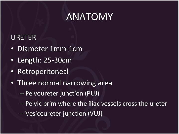 ANATOMY URETER • Diameter 1 mm-1 cm • Length: 25 -30 cm • Retroperitoneal