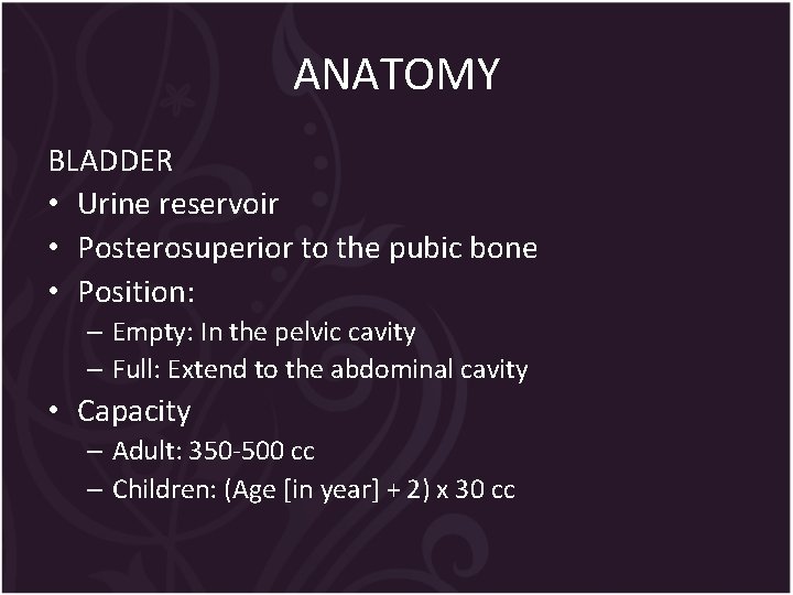 ANATOMY BLADDER • Urine reservoir • Posterosuperior to the pubic bone • Position: –
