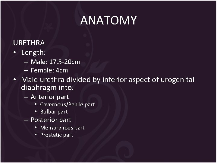 ANATOMY URETHRA • Length: – Male: 17, 5 -20 cm – Female: 4 cm