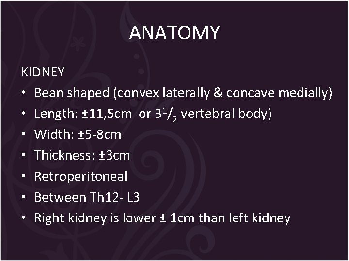 ANATOMY KIDNEY • Bean shaped (convex laterally & concave medially) • Length: ± 11,