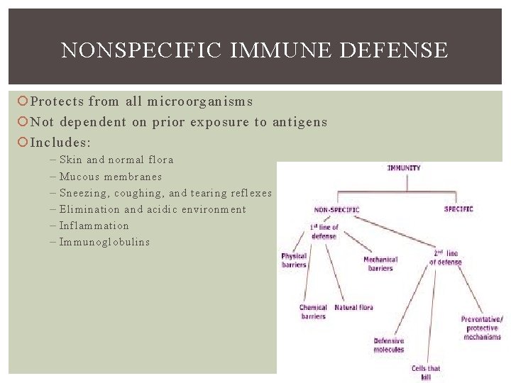 NONSPECIFIC IMMUNE DEFENSE Protects from all microorganisms Not dependent on prior exposure to antigens