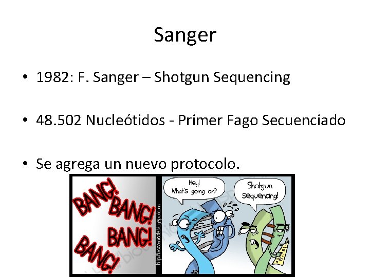 Sanger • 1982: F. Sanger – Shotgun Sequencing • 48. 502 Nucleótidos - Primer Sanger • 1982: F. Sanger – Shotgun Sequencing • 48. 502 Nucleótidos - Primer