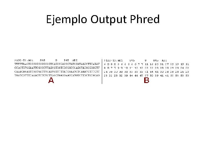 Ejemplo Output Phred Ejemplo Output Phred