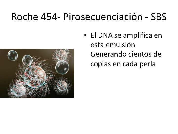 Roche 454 - Pirosecuenciación - SBS • El DNA se amplifica en esta emulsión Roche 454 - Pirosecuenciación - SBS • El DNA se amplifica en esta emulsión