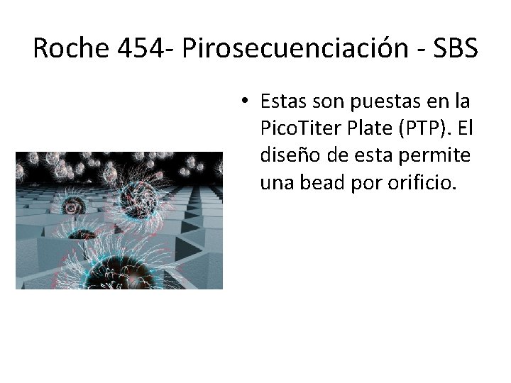 Roche 454 - Pirosecuenciación - SBS • Estas son puestas en la Pico. Titer Roche 454 - Pirosecuenciación - SBS • Estas son puestas en la Pico. Titer