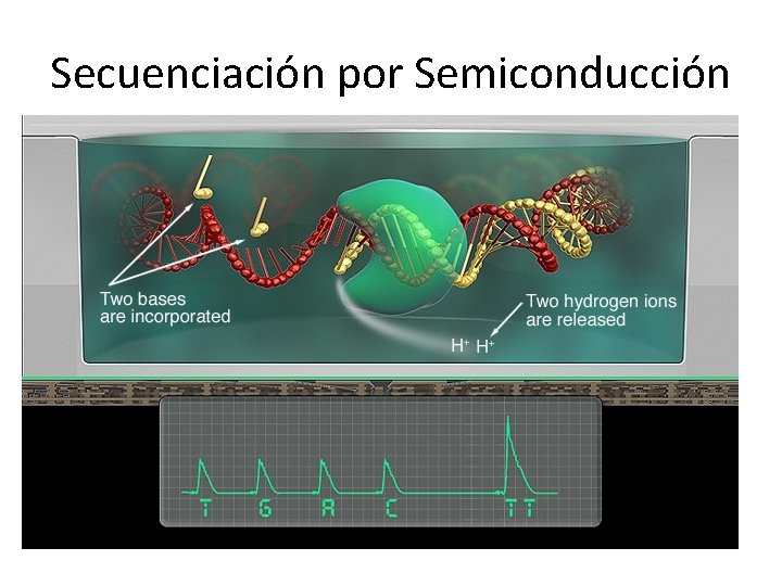 Secuenciación por Semiconducción Secuenciación por Semiconducción