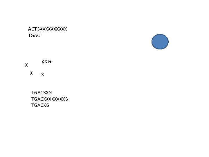 ACTGXXXXX TGAC X X G- X X X TGACXXG TGACXXXXG TGACXG ACTGXXXXX TGAC X X G- X X X TGACXXG TGACXXXXG TGACXG