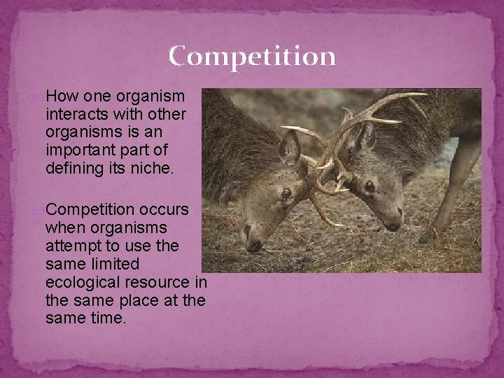 Competition How one organism interacts with other organisms is an important part of defining