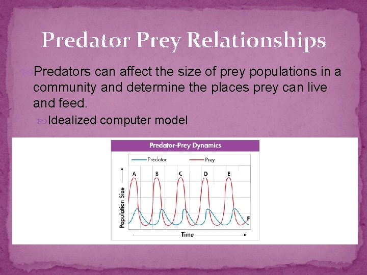 Predator Prey Relationships Predators can affect the size of prey populations in a community