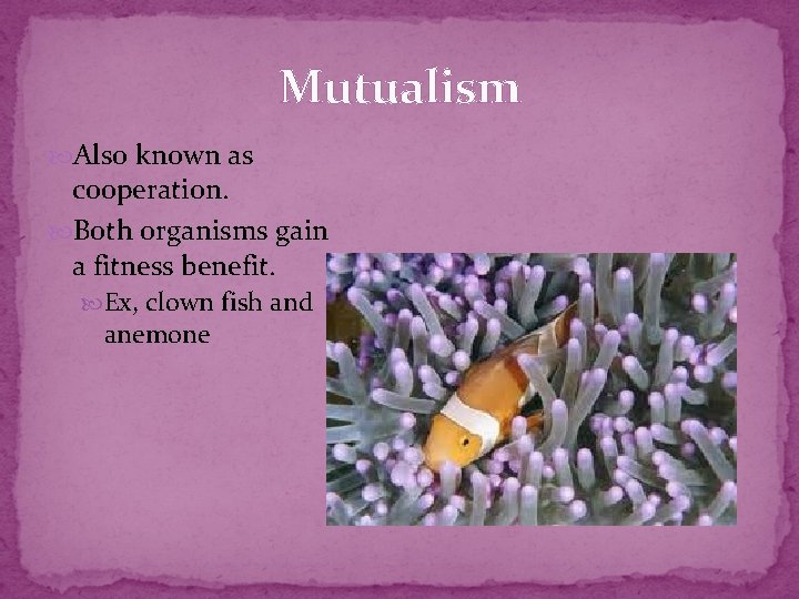 Mutualism Also known as cooperation. Both organisms gain a fitness benefit. Ex, clown fish