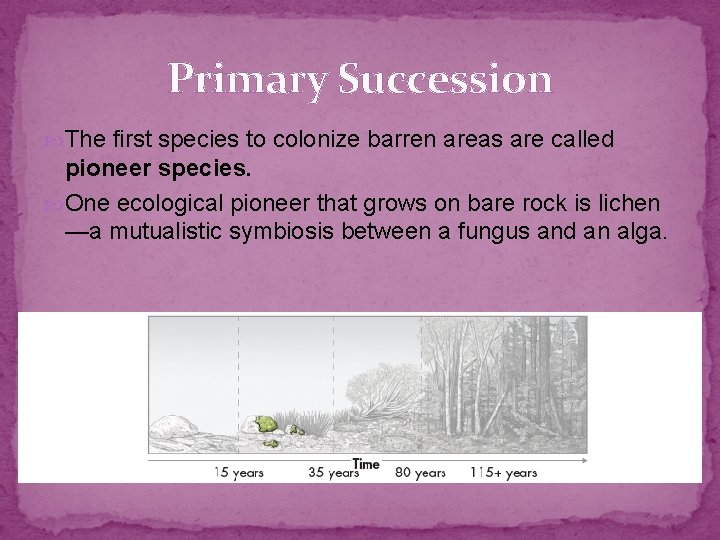 Primary Succession The first species to colonize barren areas are called pioneer species. One