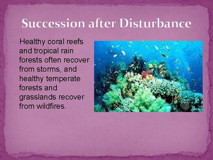 Succession after Disturbance Healthy coral reefs and tropical rain forests often recover from storms,